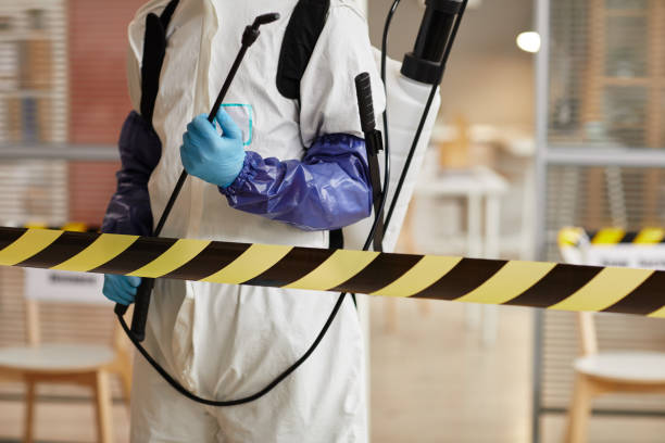 Professional Biohazard technician working in Sebago, ME